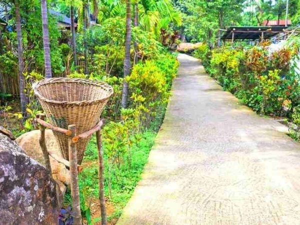 Asia's cleanest village, Mawlynnong is a shining model of eco-tourism and plastic-free living.